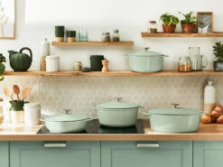 Tefal LOV Braadpan 25 Cm Groen -Tefal 1803366