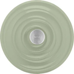 Tefal LOV Braadpan 25 Cm Groen -Tefal 1804513